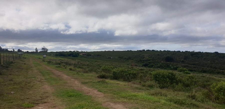8 Bedroom Property for Sale in Uitenhage Rural Eastern Cape